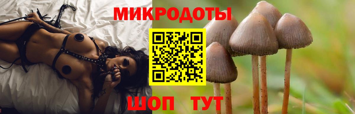 Галлюциногенные грибы Psilocybe  Вход с VPN  Шали 