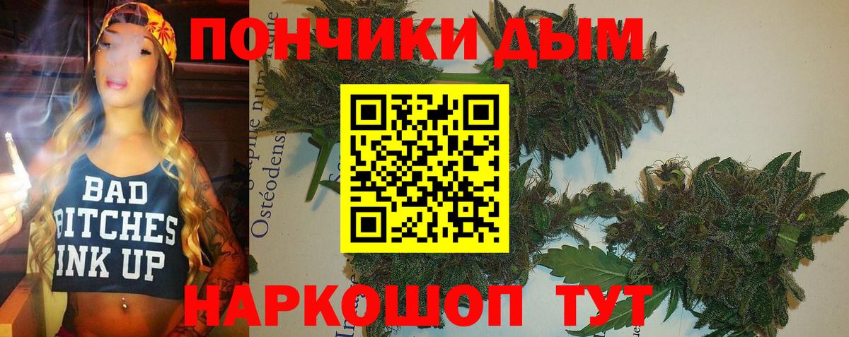 Шали  Шишки марихуана план  Шишки марихуана план  Вход с VPN 
